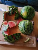 25_06_jn_10.jpg