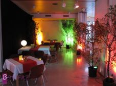 Cocktailabend 2009_3.jpg