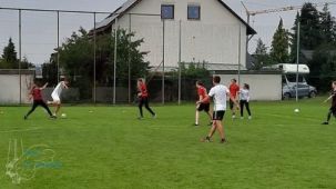 ft_22_04.jpg