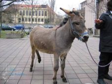 ost05_09.jpg