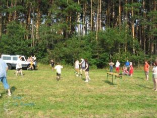 zl04_17.jpg