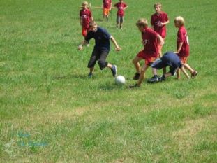 zl06_tag03_009.jpg