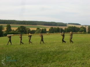 zl08_15.jpg