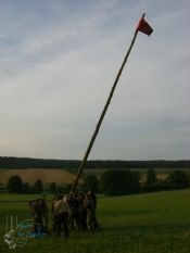 zl08_17.jpg