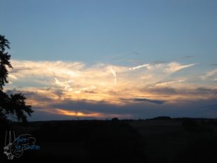 zl08_29.jpg