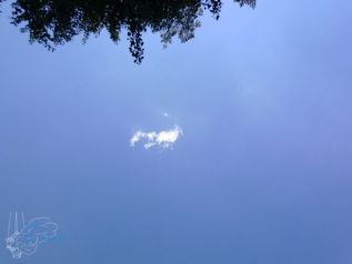 zl2012_15.jpg