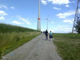 zl2012_26.jpg