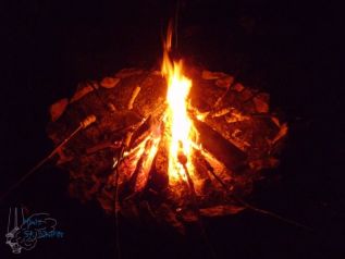 zl2013_37.JPG